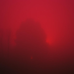 Crimson Veil