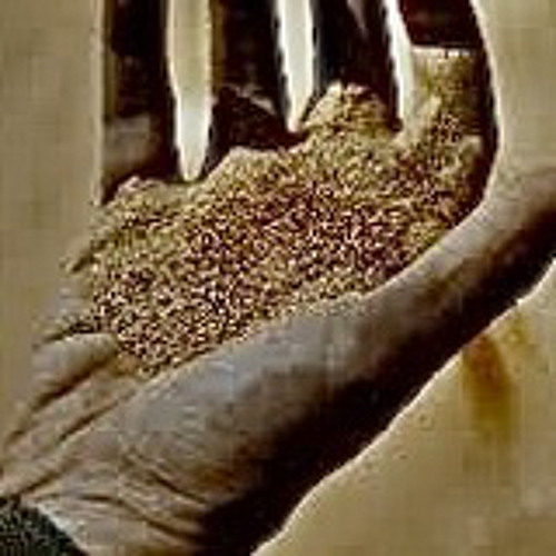 SPICE IS POWER - S2E18 [DUNE II]