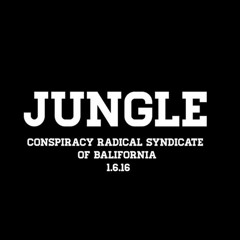 JUNGLE 1.6.16 [ FLY IN THE SKY ] - DJ BAGAS ONTHEMIX -