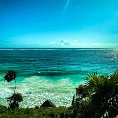 Pacific Coast