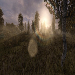 shindao - мысли