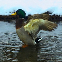 indications of instigation