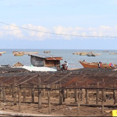 L'absence de latrines au port de pêche de Kajaga inquiète les riverains