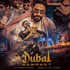 Dubai Company
