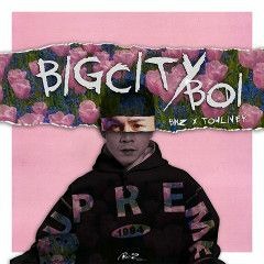 BINZ - BIGCITIBOY X DJ TX REMIX