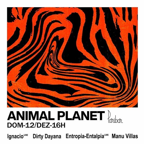 Dirty Dayana @ Animal Planet #2 at Paribar