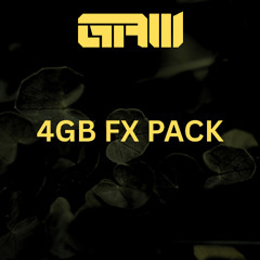 4GB (Almost 3K Files) FX Pack