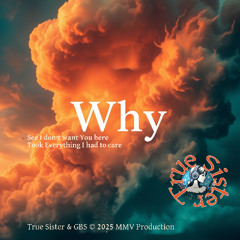 05 Why