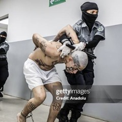 MS13