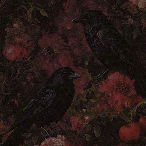 Fall ( Prod. elvas )