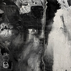 Polygonia - Focus [DAYBREAK]