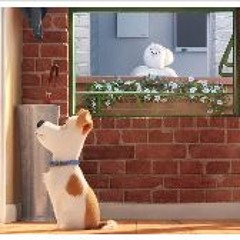 [.WATCH.] The Secret Life of Pets (2016) FullMovie Streaming MP4 720/1080p 2163714