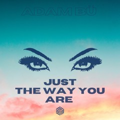 Adam Bü - Just The Way You Are