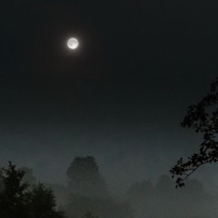 GOIN HOME [PROD.PDGLIQ]