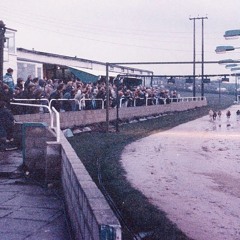 Dogpeople Wheatley Hill Story Trail: Fond Memories