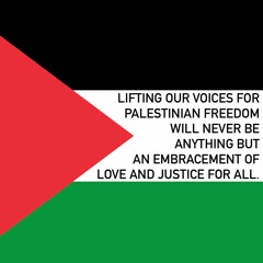 Solidarity II: Palestine