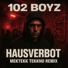 102 BOYZ - HAUSVERBOT (MEKTEKK TEKKNO REMIX)
