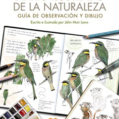 Read PDF 🖌️ Diario ilustrado de la naturaleza. Guía de observación y dibujo by  John