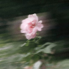 hardest part w/ fnonose