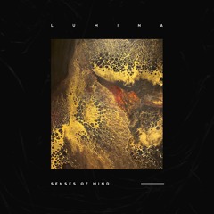 Senses Of Mind - Lumina (UNTLD002)