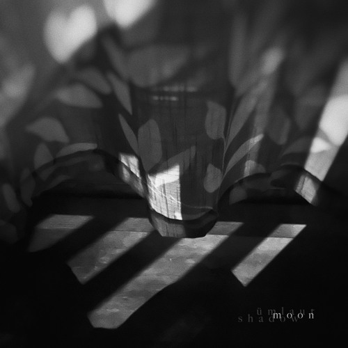 Moon Shadow