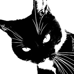 ##Cry like Ah Pisces## (Willow)