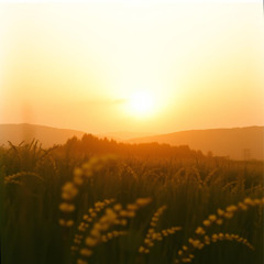 O Sun, You Rise, As Seasons Call