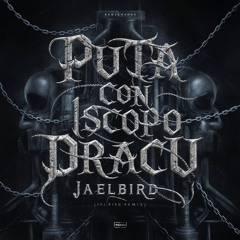 DRACU - Puta Con 1 Scopo (JÆLBIRD Remix) | 𝐅𝐑𝐄𝐄 𝐃𝐋