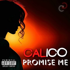 CALICO - Promise Me 🤞 [Copyright Free] No.40
