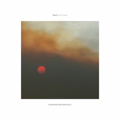 Theef / Sun & Smoke (ASIPV048) [Previews]