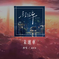 赵乃吉 - 末班车「别说话泪水你别带走 镜子里的我已留下你」【動態歌詞/Lyrics Video】#赵乃吉 #末班车 #動態歌詞