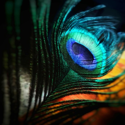 Peaceful And Bright (vocals by Maria Duque)