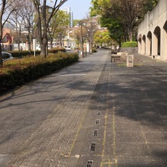 20200416 早朝の散歩