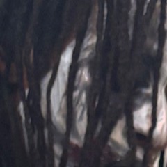 thefinalgemini (prod.skbrod)