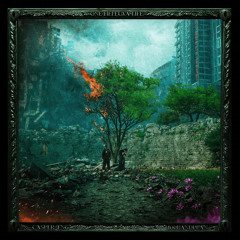 Casper TNG & 100Bandplan - The Market