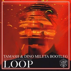 Martin Garrix ft. DallasK - Loop (Tamash & Dino Mileta Bootleg)