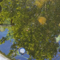 bit z głębii ziemii