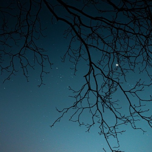 Warm Nights  (Fet. Midisound (Paco) )