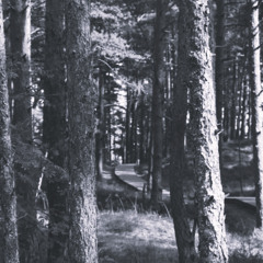 sometimes we just sit and watch from afar, observing ourselves minutely