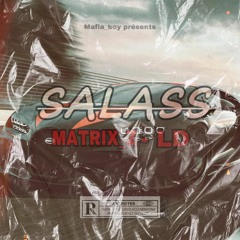 x MATRIX Z _SALASS_1