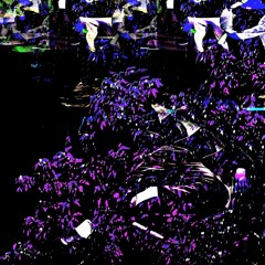 PARTY IS DEAD
