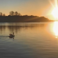 Stillness - Bedroom Creations