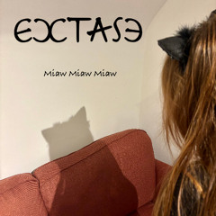 Miaw Miaw Miaw (Cat song)