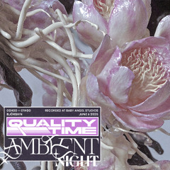 QT01 (Ambient Night) - Party by Default