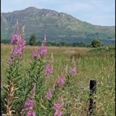 the-heart-of-the-highlands