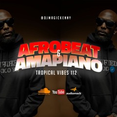 Tropical Vibes 112 Mix | Afrobeat and amapiano mix 2022 | Lit african music playlist