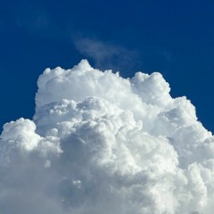 liosha - cohesive (melodic house DJ set)