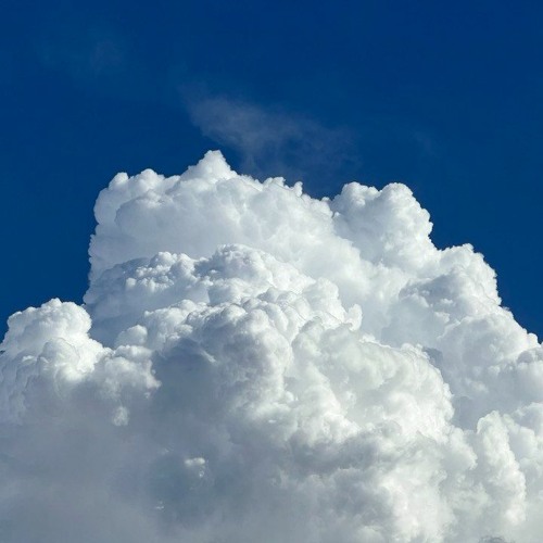 liosha - cohesive (melodic house DJ set)