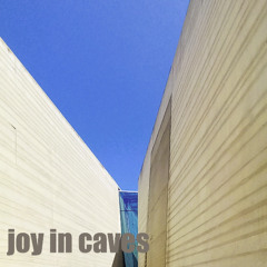 joy_1