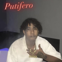 Ligerinho-putifero Remix